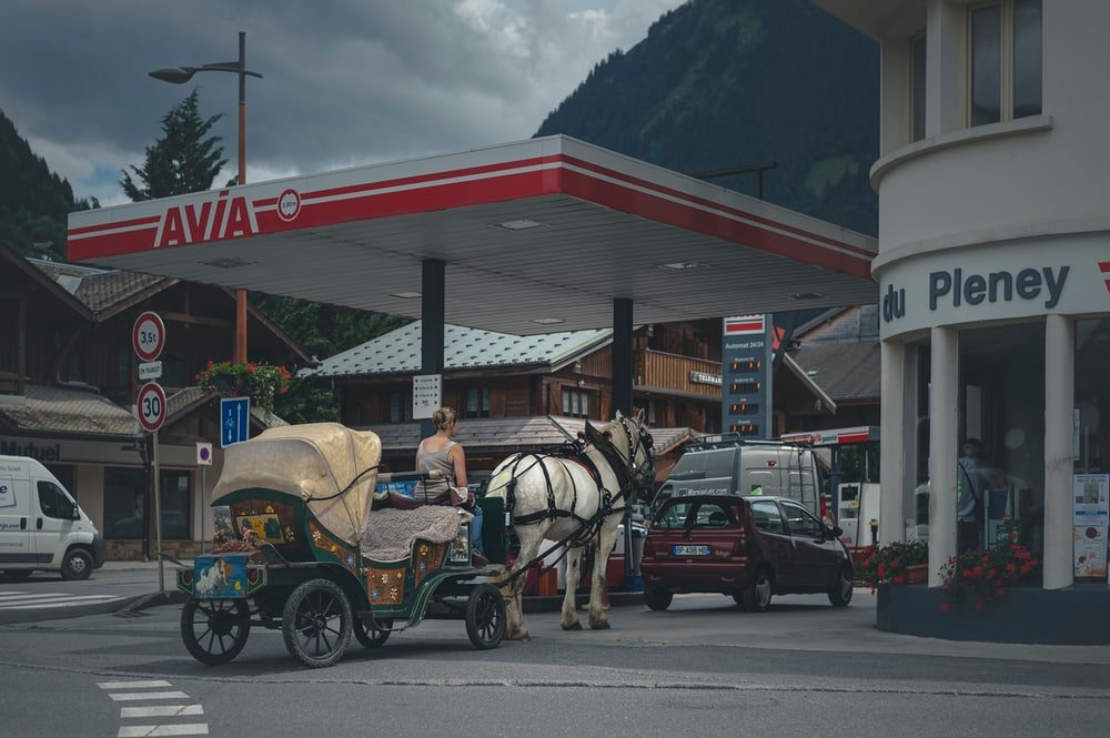 white horse with carriage on street during daytime